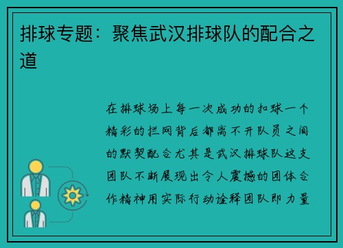 排球专题：聚焦武汉排球队的配合之道